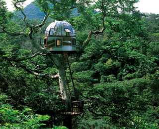 Illustration for article titled 13 Ingenious Treehouses That Go Out on a Limb